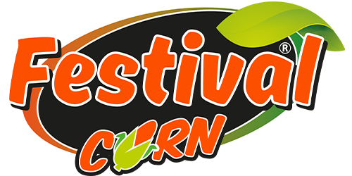 logofstvl